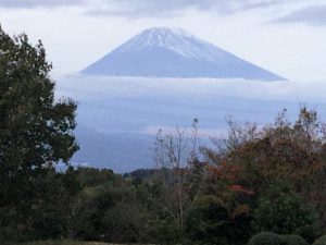 IMG_0552