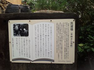IMG_20151120_082803